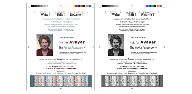Color and Gray Scale versions of promotional flier for Avayar