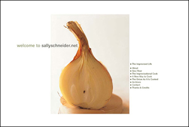 sallyschneider.net