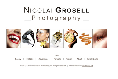 nicolaigrosell.com