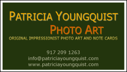 PYPA business card