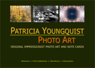 thumbnail image: patriciayoungquist.com